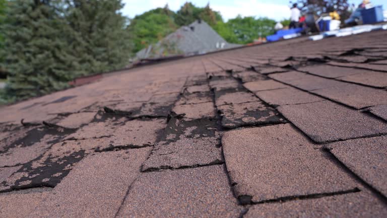 Best 4 Ply Roofing  in Rossford, OH